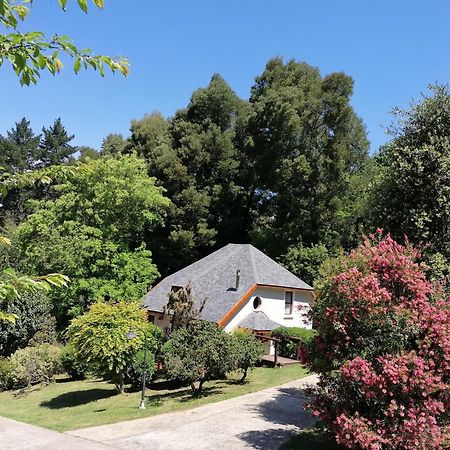 Hogsback Arminel Hotel エクステリア 写真
