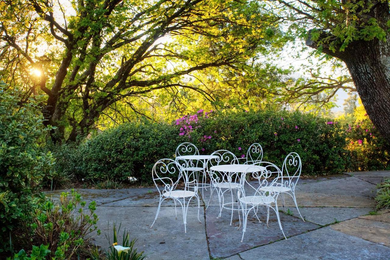 Hogsback Arminel Hotel エクステリア 写真