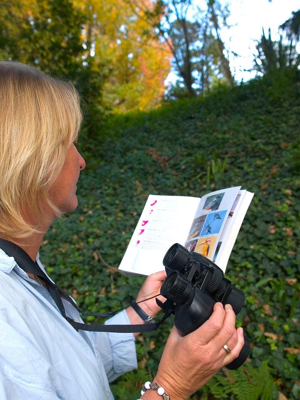 Hogsback Arminel Hotel エクステリア 写真