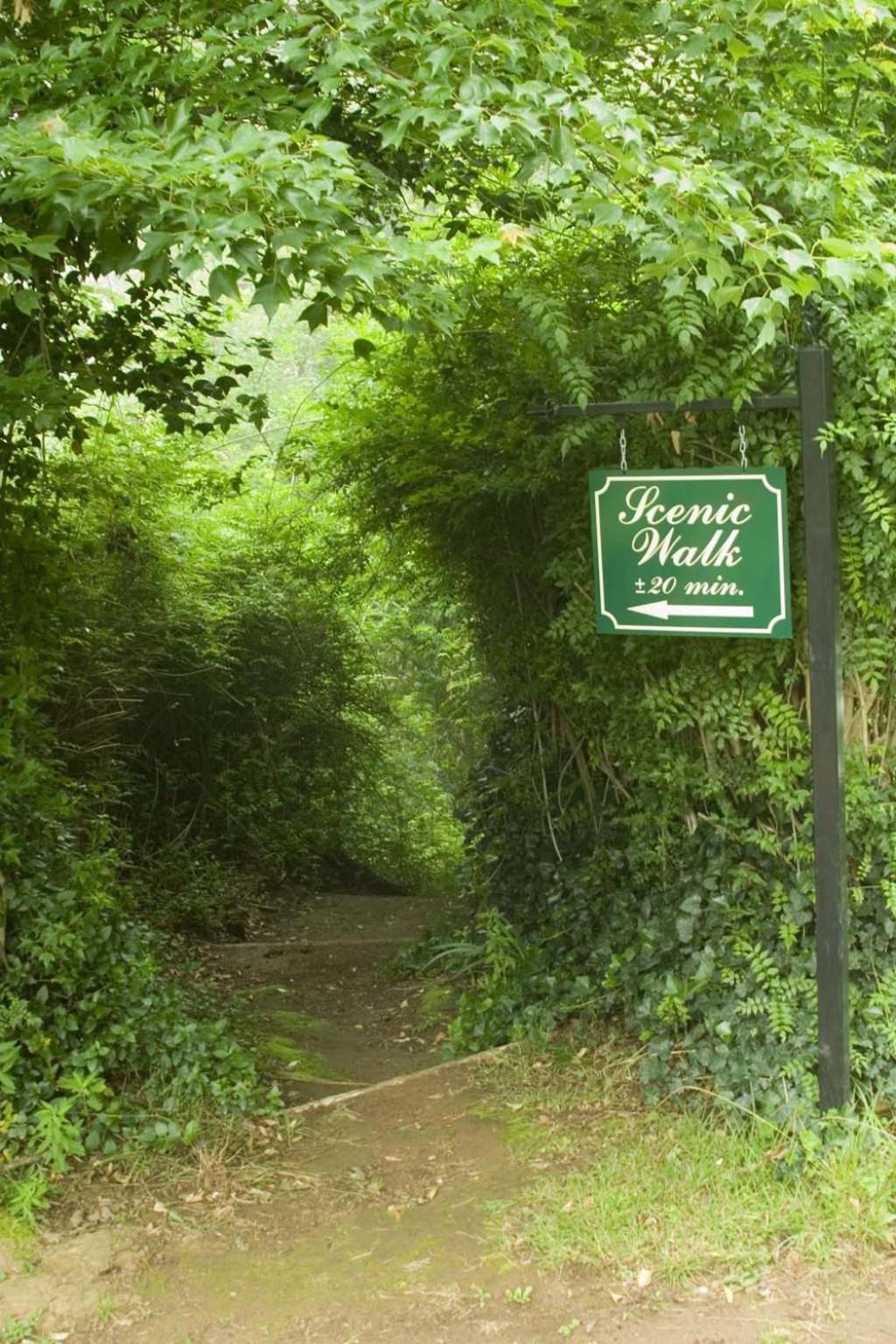 Hogsback Arminel Hotel エクステリア 写真