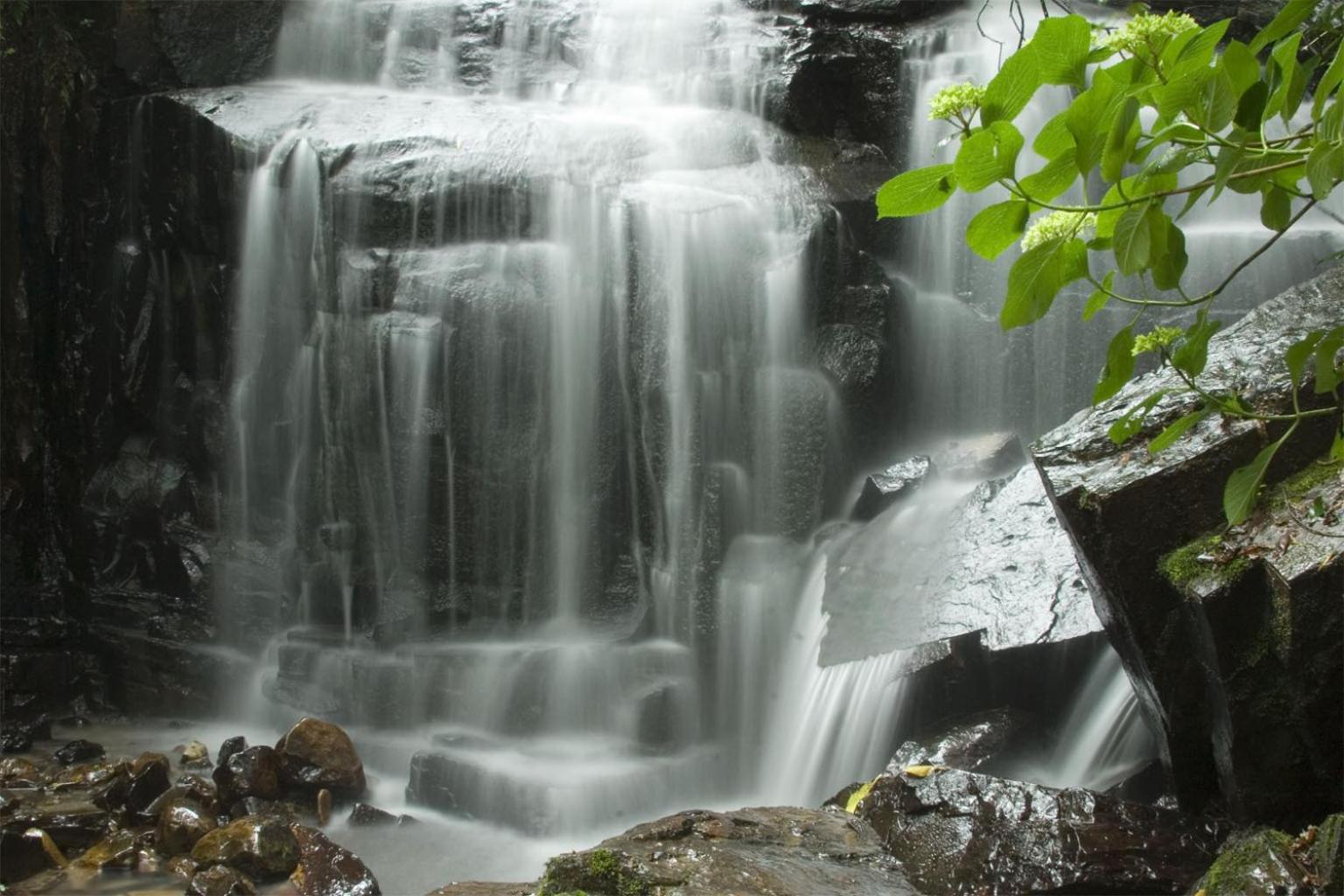 Hogsback Arminel Hotel エクステリア 写真