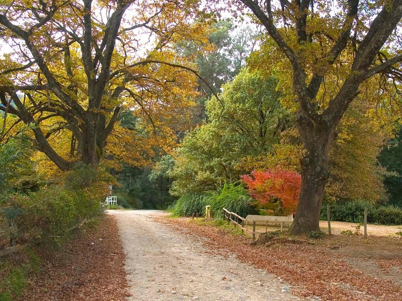 Hogsback Arminel Hotel エクステリア 写真